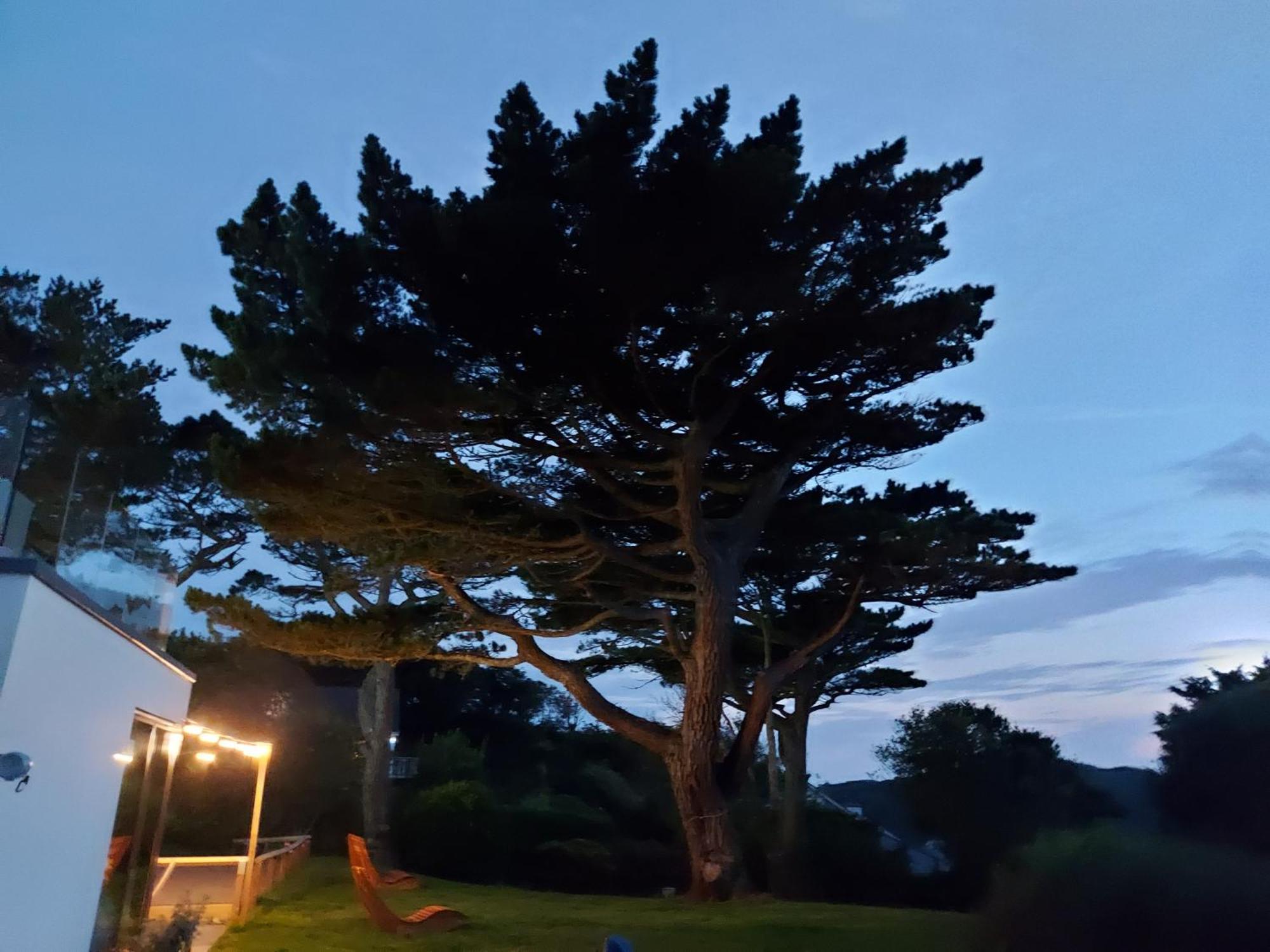 Flat 1 High Tide House, Mortehoe - Beautifully Designed Ground Floor Flat With Sea Views And Garden エクステリア 写真