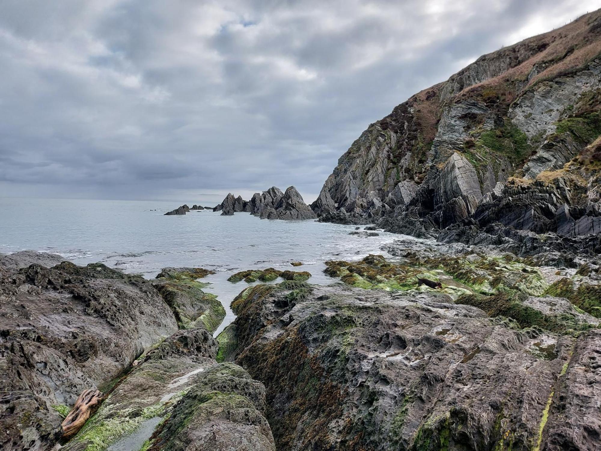 Flat 1 High Tide House, Mortehoe - Beautifully Designed Ground Floor Flat With Sea Views And Garden エクステリア 写真